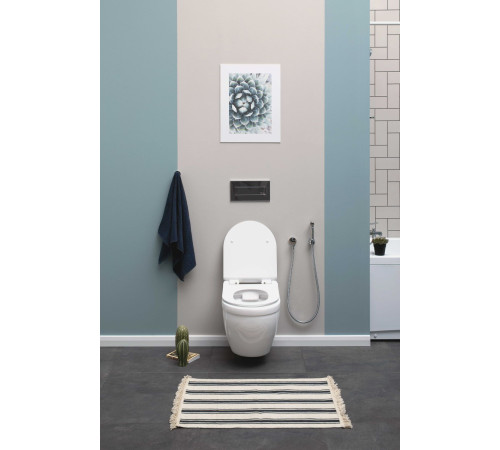 Унитаз подвесной Aquanet Rimless Glide-W CL-11042