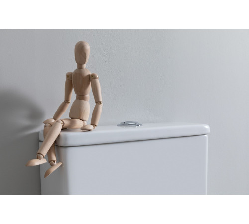 Чаша унитаза Aquanet Fine Rimless FINE-C Soft Close