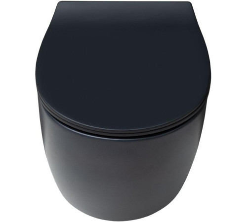 Чаша подвесного унитаза Allen Brau Fantasy 4.11004.31 черный матовый