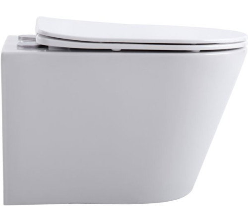 Унитаз подвесной Aquanet Rimless Atago 2.0 W LX-1905