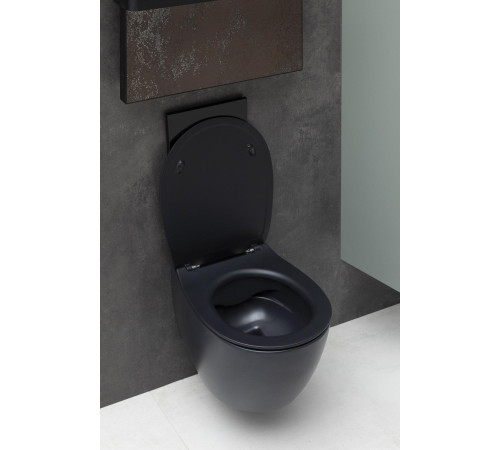 Чаша подвесного унитаза Allen Brau Fantasy 4.11004.31 черный матовый