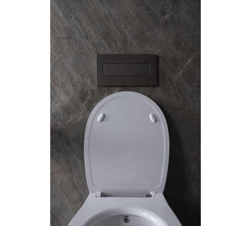 Крышка-сиденье для унитаза Allen Brau Fantasy Smartfix, Soft-Close 4.11005.20 белый глянец