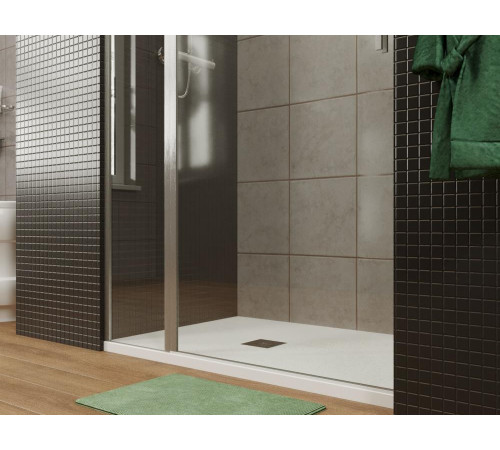 Душевая дверь Allen Brau Priority 100 3.31029.BA серебро браш