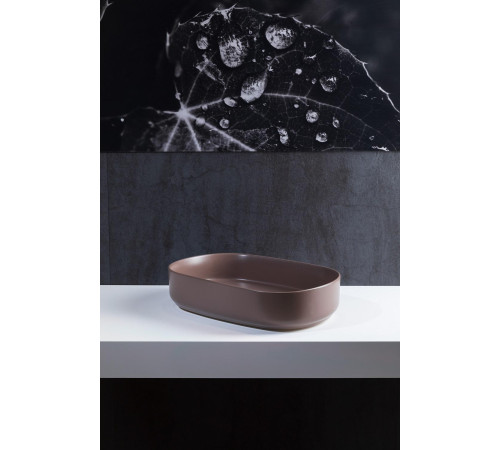 Раковина накладная Allen Brau Fantasy 55 4.11022.TP коричневый