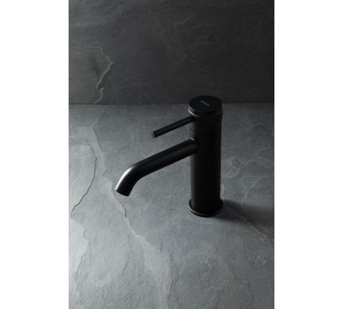 Смеситель для раковины Allen Brau Priority 5.31A01-31 черный матовый