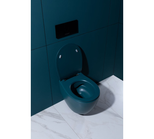 Чаша подвесного унитаза Allen Brau Fantasy 4.11004.PT петроль