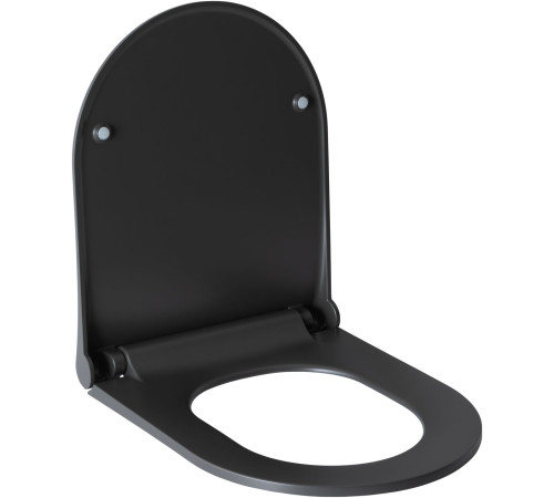 Крышка-сиденье для унитаза Allen Brau Priority 4.31004.AN антрацит