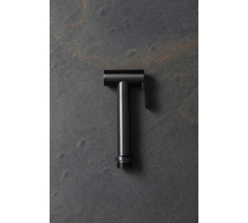 Гигиеническая лейка Allen Brau Priority 5.31028-MG графит браш