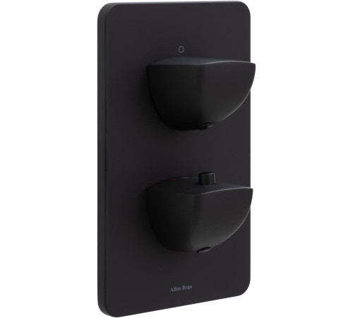 Смеситель для душа Allen Brau Infinity 5.21116-31 (с внутренней частью, 1 выход) черный матовый
