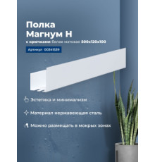 Полка Aquanet Магнум Н 50x12 белая матовая, с крючками
