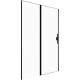 Душевая дверь Allen Brau Priority 120 3.31033.BBA черный браш