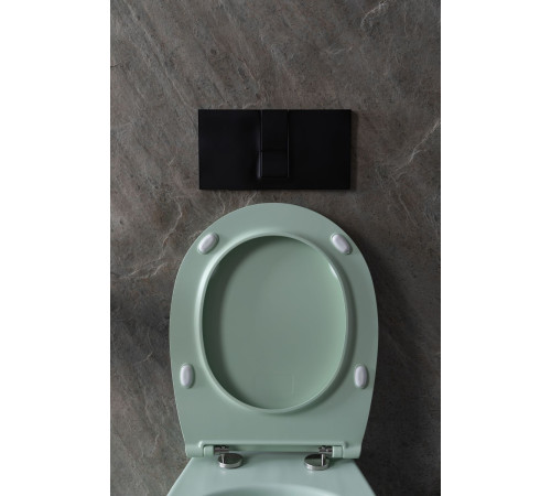 Чаша подвесного унитаза Allen Brau Fantasy 4.11004.MT мятный