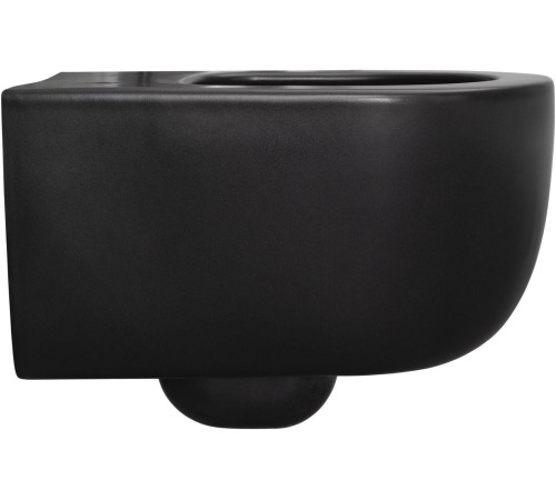 Чаша подвесного унитаза Allen Brau Priority 4.31002.31 черный матовый