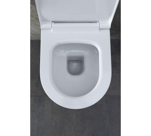 Чаша подвесного унитаза Allen Brau Priority 4.31002.20 белый глянец