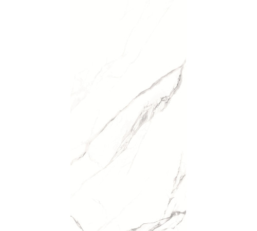 GT1206012003SPR Керамогранит Alfanzo белый лаппатированный 60x120