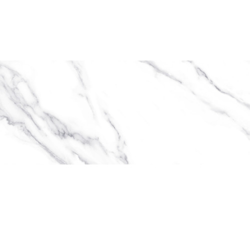 10100001333 Плитка настенная Anima белая 01 матовая 25x60