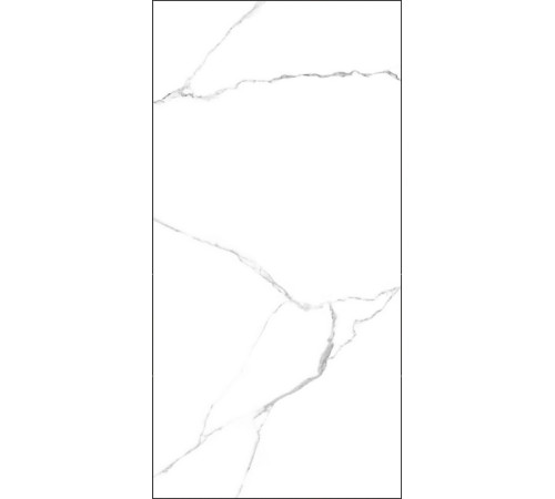 GT120600203MR Керамогранит Marmo белый матовый 60x120