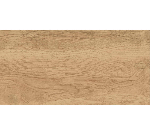 GT220VG Керамогранит Florida бежевый матовый 30x60