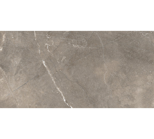 GT122VG Плитка настенная Siluet коричневая глянцевая 25x50