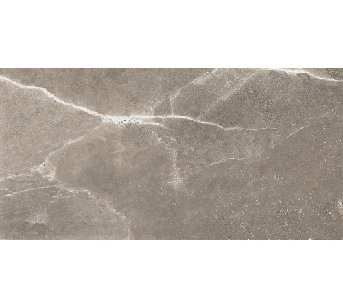 GT122VG Плитка настенная Siluet коричневая глянцевая 25x50