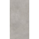 GT1206017701MR Керамогранит Cassini серый матовый 60x120