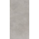 GT1206017701MR Керамогранит Cassini серый матовый 60x120