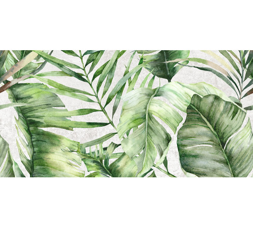 GT146VG Плитка настенная Sombra серая тропики 2 глянцевая 25x50