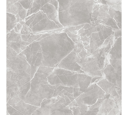 GT60601301MR-3 Керамогранит Solo серый матовый 60x60