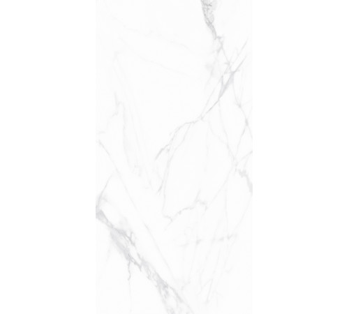 GT1206015903PDR Керамогранит Andrea белый полированный 60x120