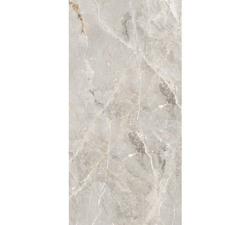 GT1206012101SPR Керамогранит Tulip серый лаппатированный 60x120