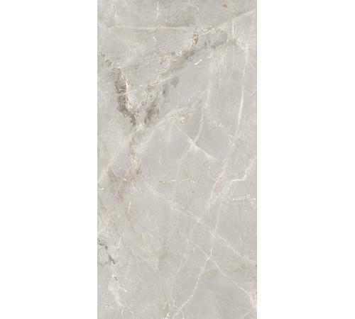 GT1206012101SPR Керамогранит Tulip серый лаппатированный 60x120