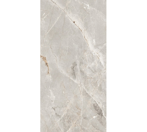 GT1206012101SPR Керамогранит Tulip серый лаппатированный 60x120