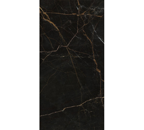 GT1206011405HPR Керамогранит Olimpia черный полированный 60x120