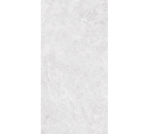 GT1206017596MR Керамогранит Solis светло-серый матовый 60x120