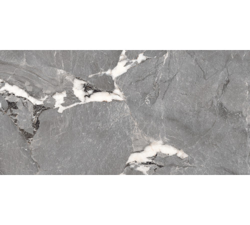 PGT1206010201SGR Керамогранит Pegasus серый матовый 60x120