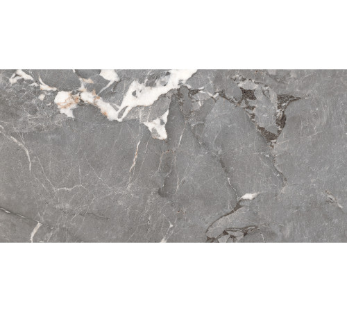 PGT1206010201SGR Керамогранит Pegasus серый матовый 60x120