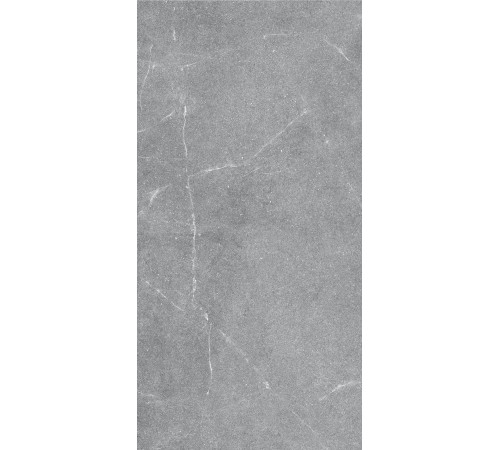 GT1206015401MR Керамогранит Geo серый матовый 60x120