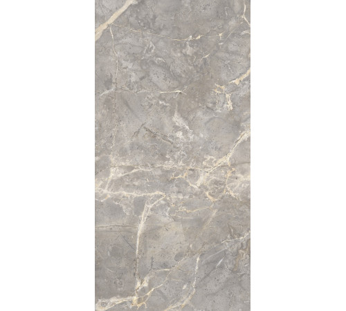 GT120603101MCR Керамогранит Sacramento серый карвинг матовый 60x120