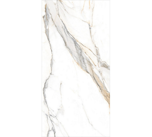 GT120604103MGR Керамогранит Statuario Elite белый граниль матовый 60x120