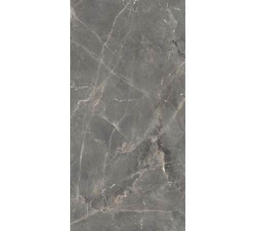 GT1206012109SPR Керамогранит Tulip темно-серый лаппатированный 60x120