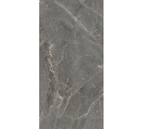 GT1206012109SPR Керамогранит Tulip темно-серый лаппатированный 60x120