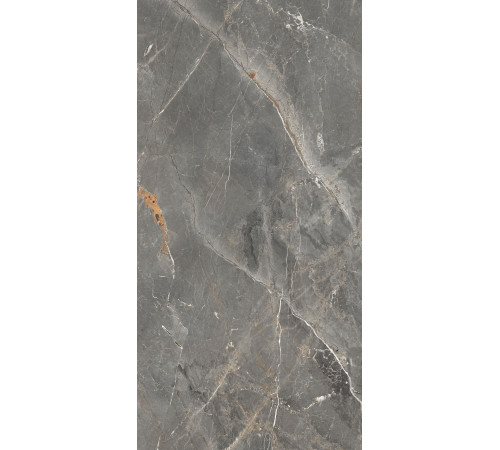 GT1206012109SPR Керамогранит Tulip темно-серый лаппатированный 60x120