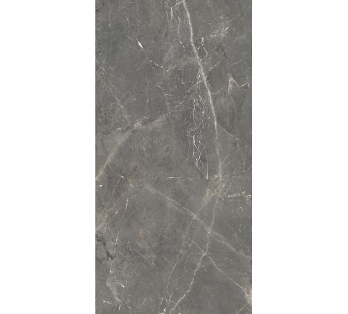 GT1206012109SPR Керамогранит Tulip темно-серый лаппатированный 60x120