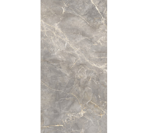 GT120603101MCR Керамогранит Sacramento серый карвинг матовый 60x120