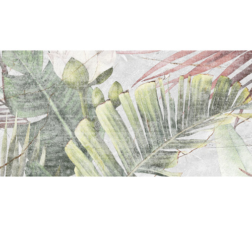 GT137VG Плитка настенная Aventura серая тропики матовая 25x50