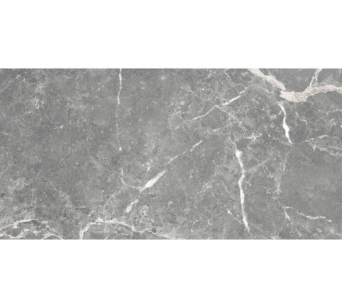 GT99VG Плитка настенная Capella серая глянцевая 25x50