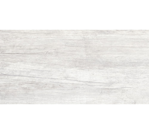 GT223VG Керамогранит Storm светло-серый матовый 30x60