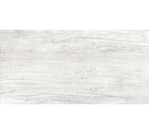 GT223VG Керамогранит Storm светло-серый матовый 30x60