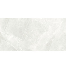 GT199VG Плитка настенная Futuris светло-серая глянцевая 30x60