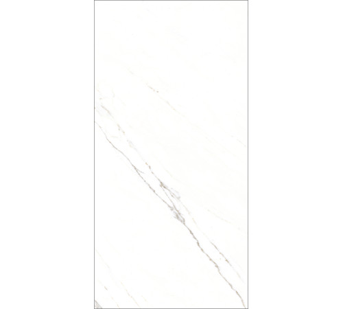 GT1206015103PR Керамогранит Corus белый полированный 60x120